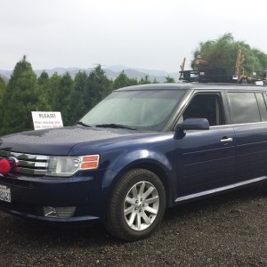 Daddy Wagon with O Tannenbaum from Peltzer Pines